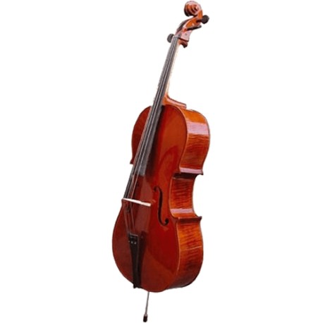 Violoncelle Herald AS344 massif